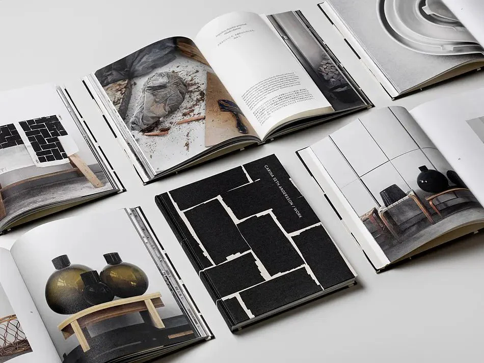 Carina Seth Andersson: Work - Image 11