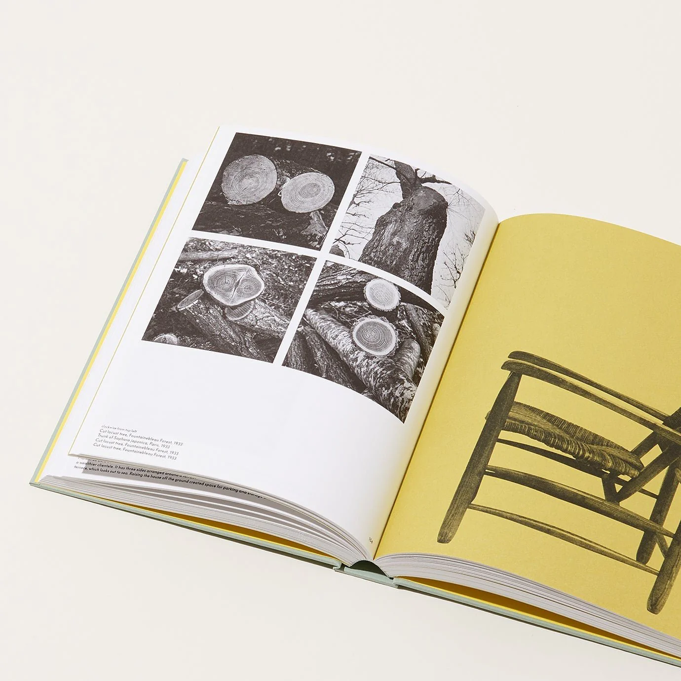Charlotte Perriand: The Modern Life - Image 4