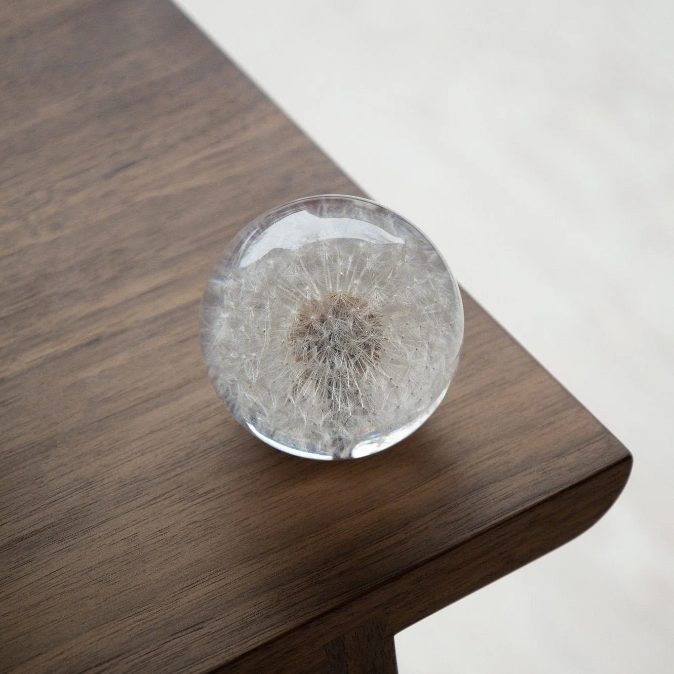 Dandelion Paperweight - Image 4