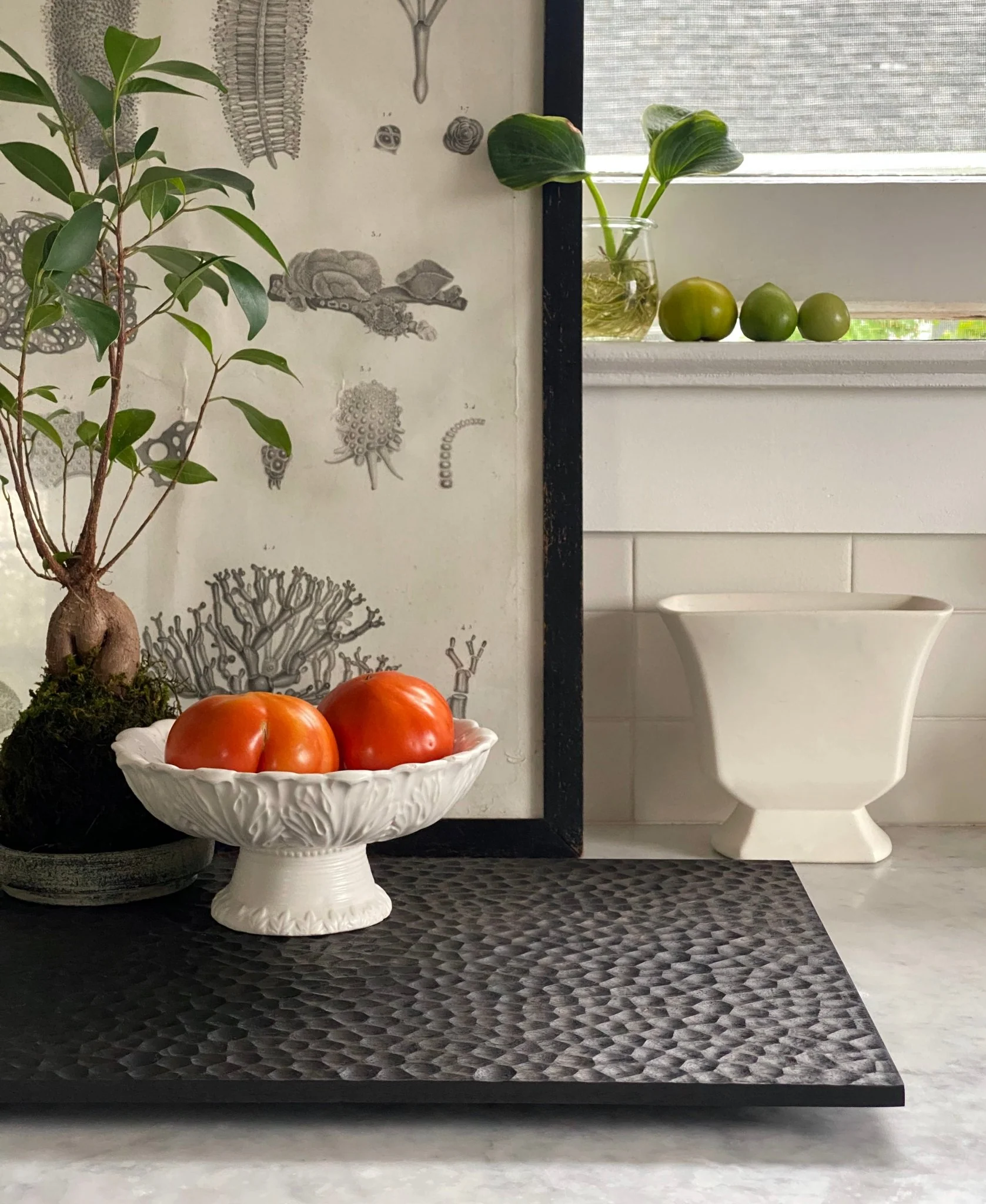 Ebonized Walnut Gathering Pedestals - Image 12