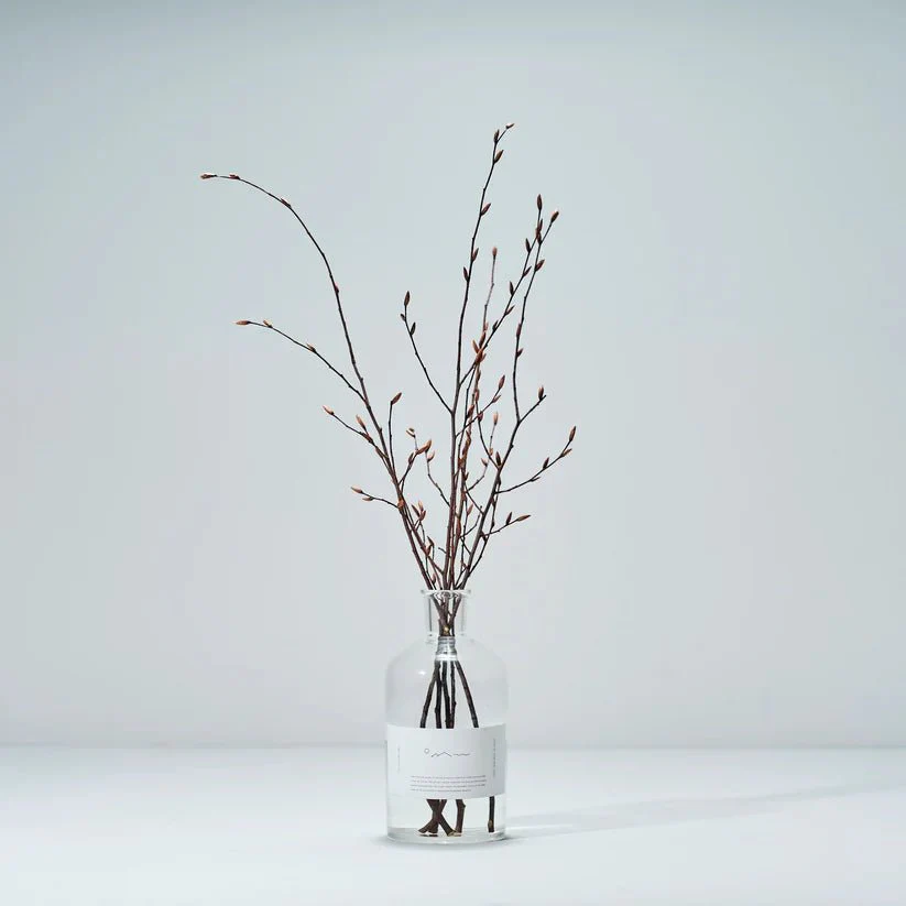 Forest Bathing Diffuser: Inushi Branches