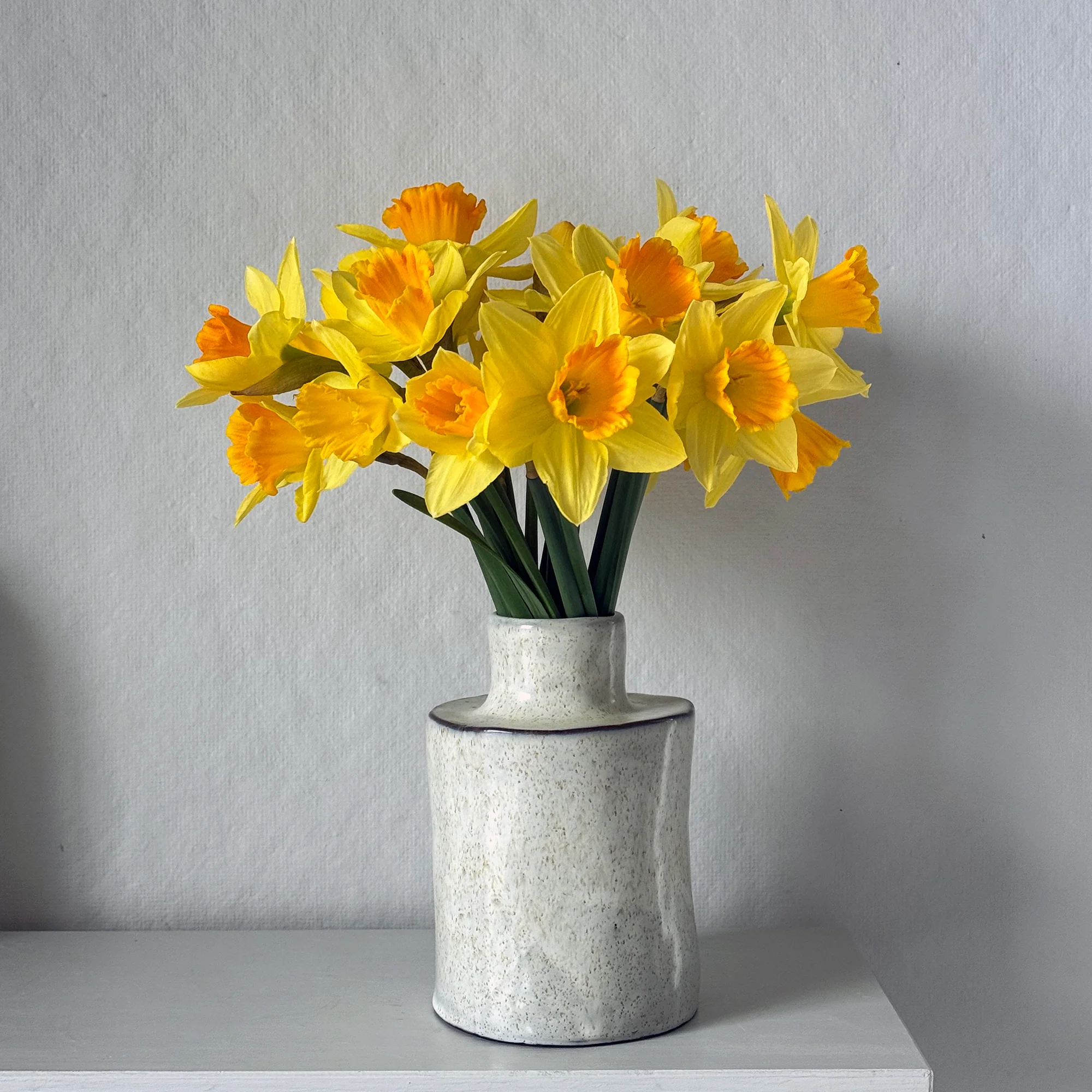 Héléna Marie Vases: Pale - Image 5