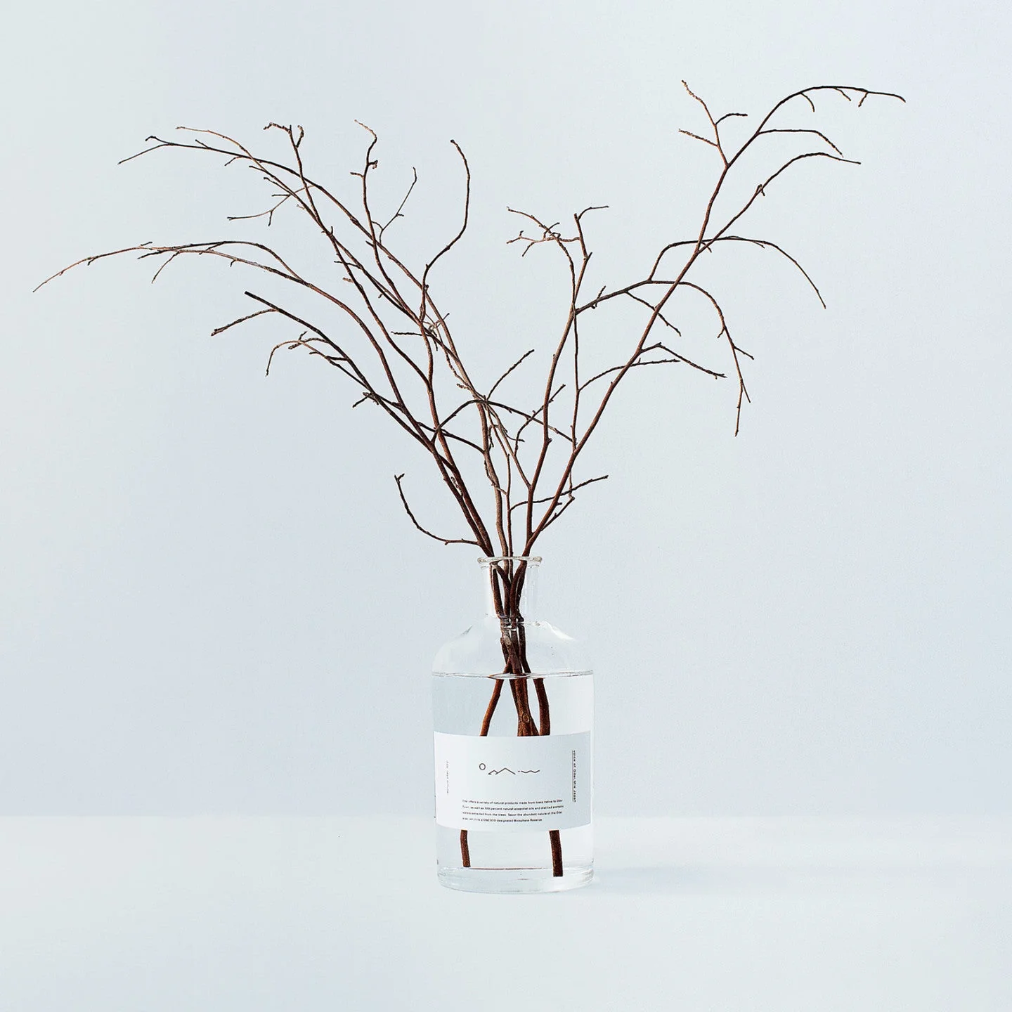 Forest Bathing Diffuser: Himeshara Branches - Image 2