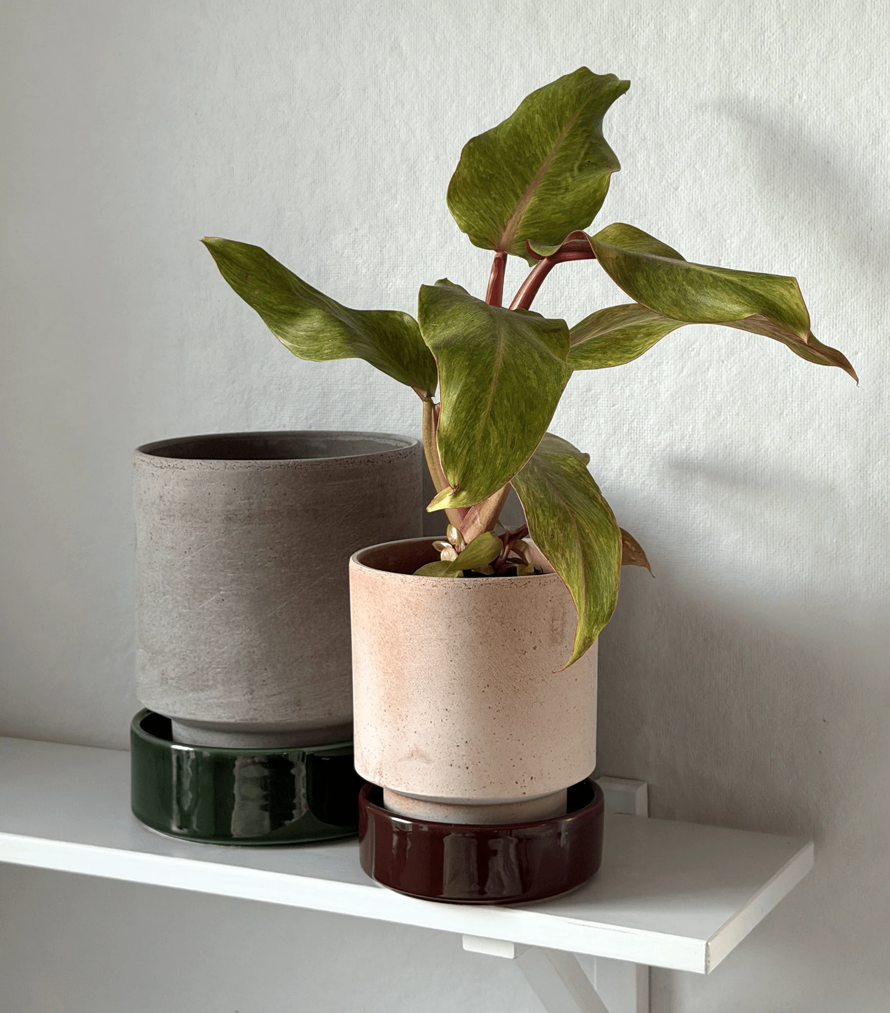 Hoff Planters: Warm and Cool Colorways - Image 3