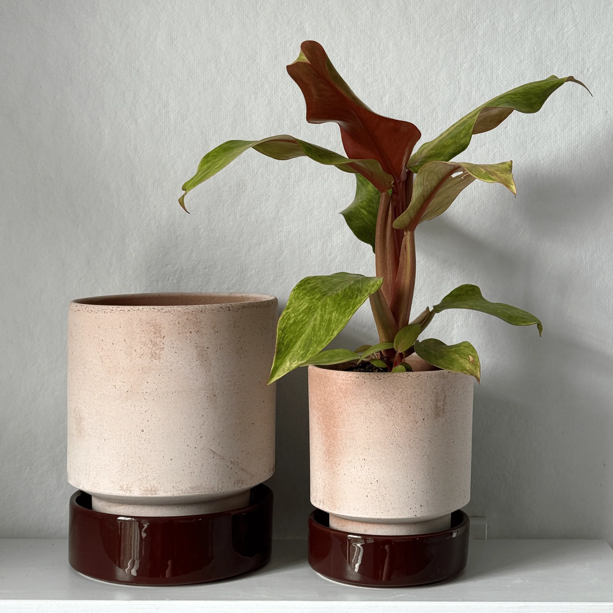Hoff Planters: Warm and Cool Colorways - Image 4