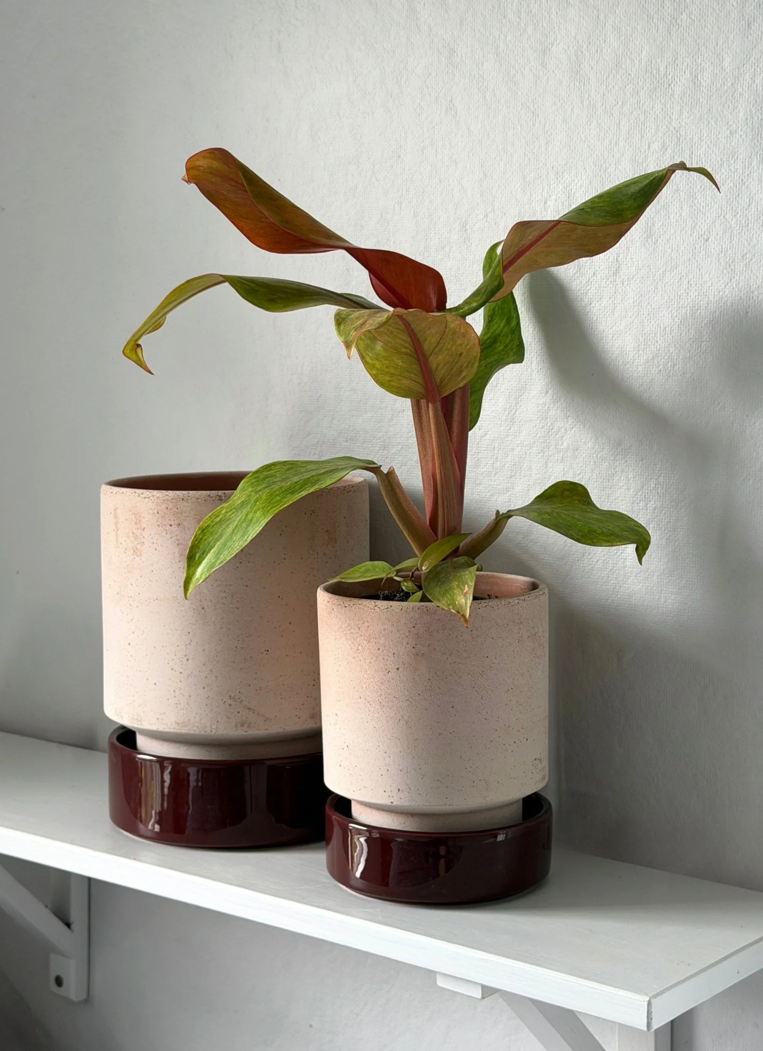 Hoff Planters: Warm and Cool Colorways - Image 5