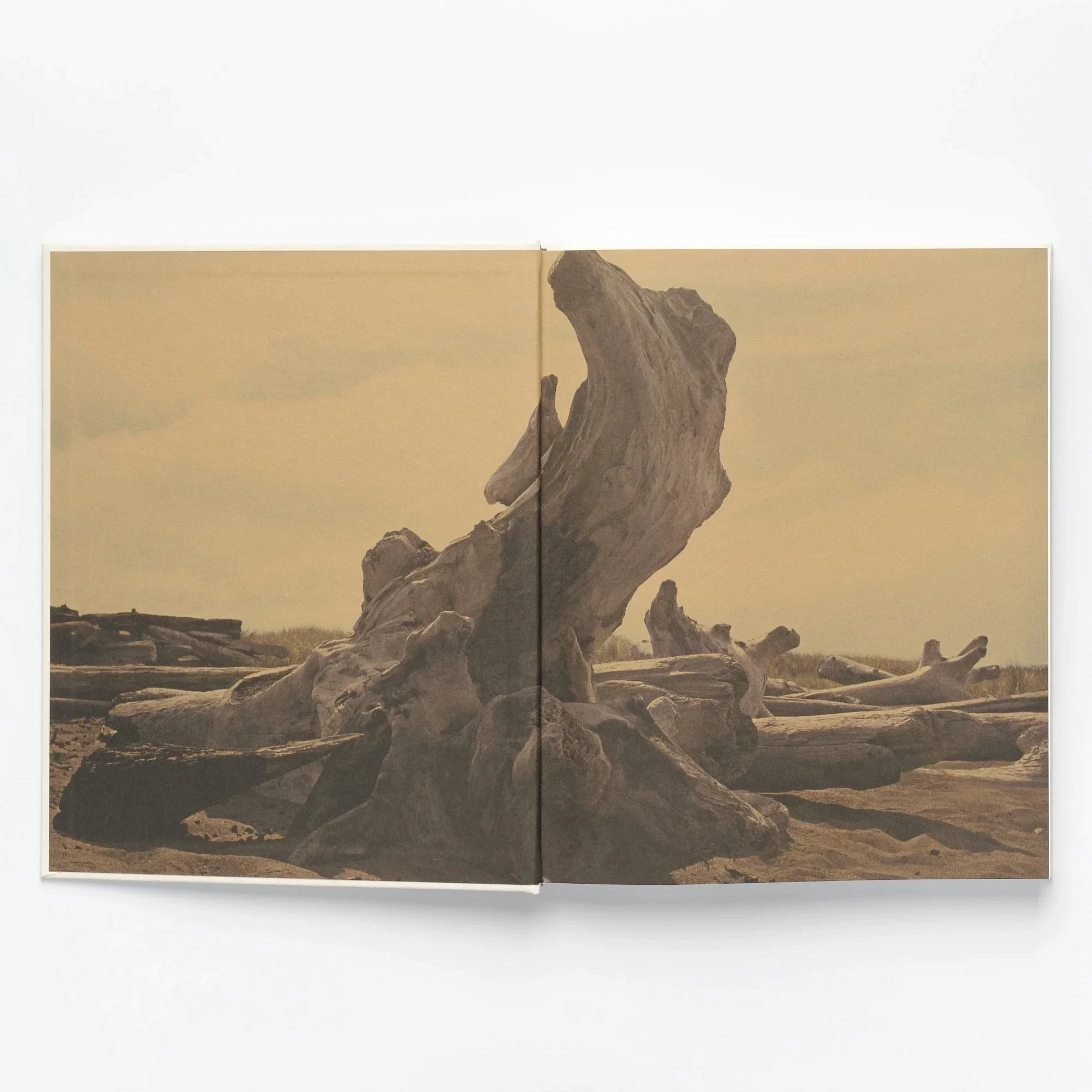 JB Blunk Monograph - Image 7