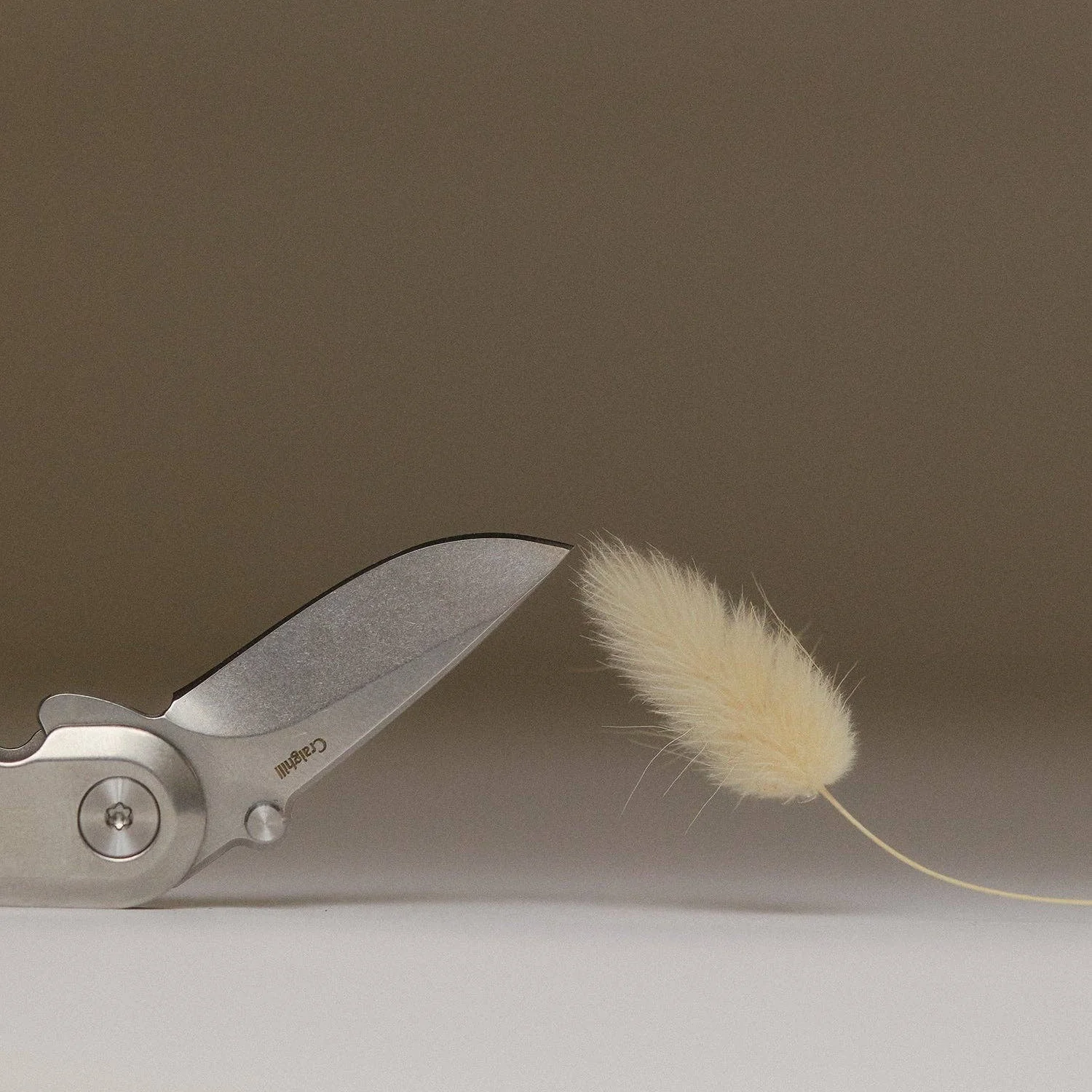 EDC Pocket Knife: Stainless Steel - Image 2