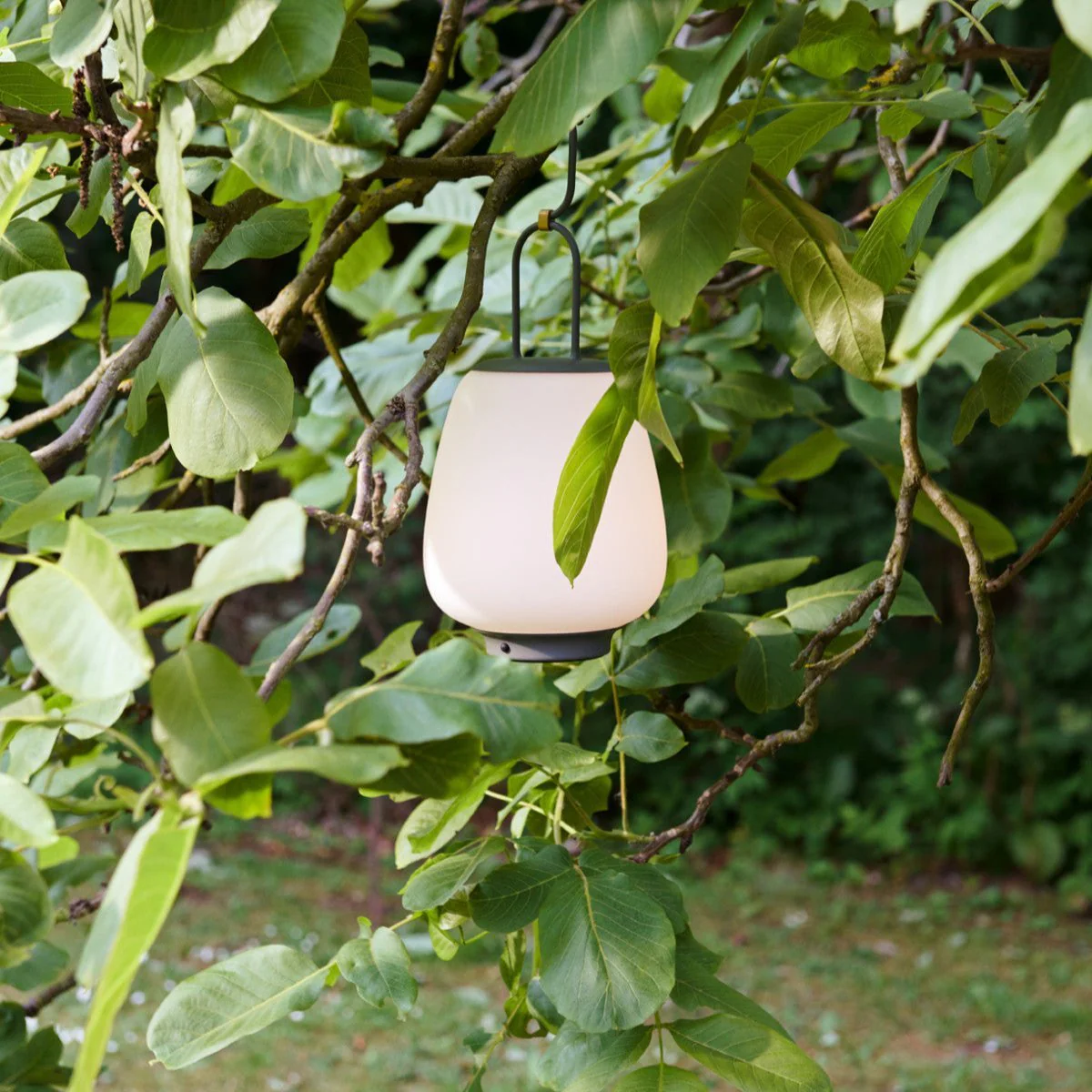 Lucca Portable Lamp - Image 12
