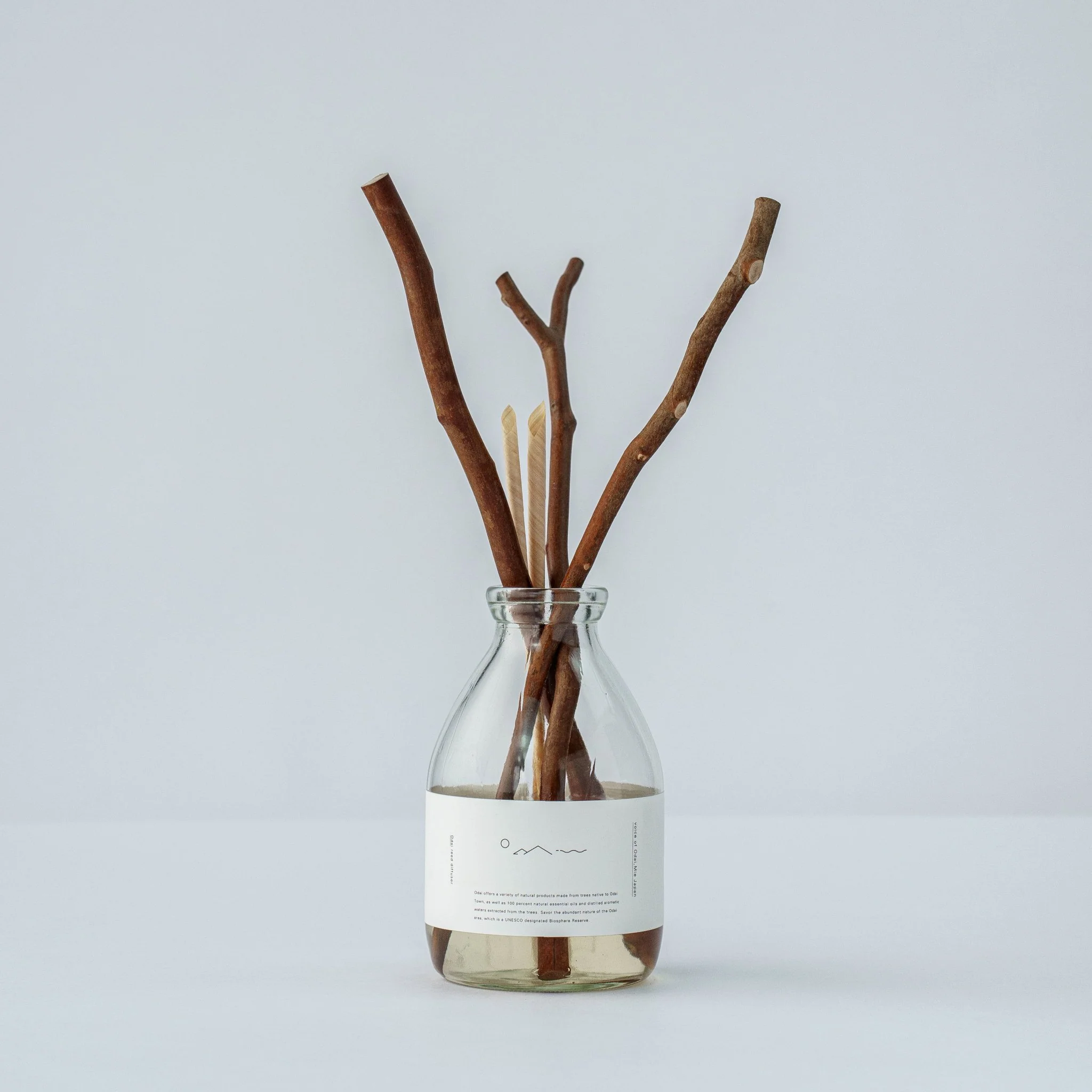 Forest Bathing Diffuser with Odai Hime Branches - Image 2