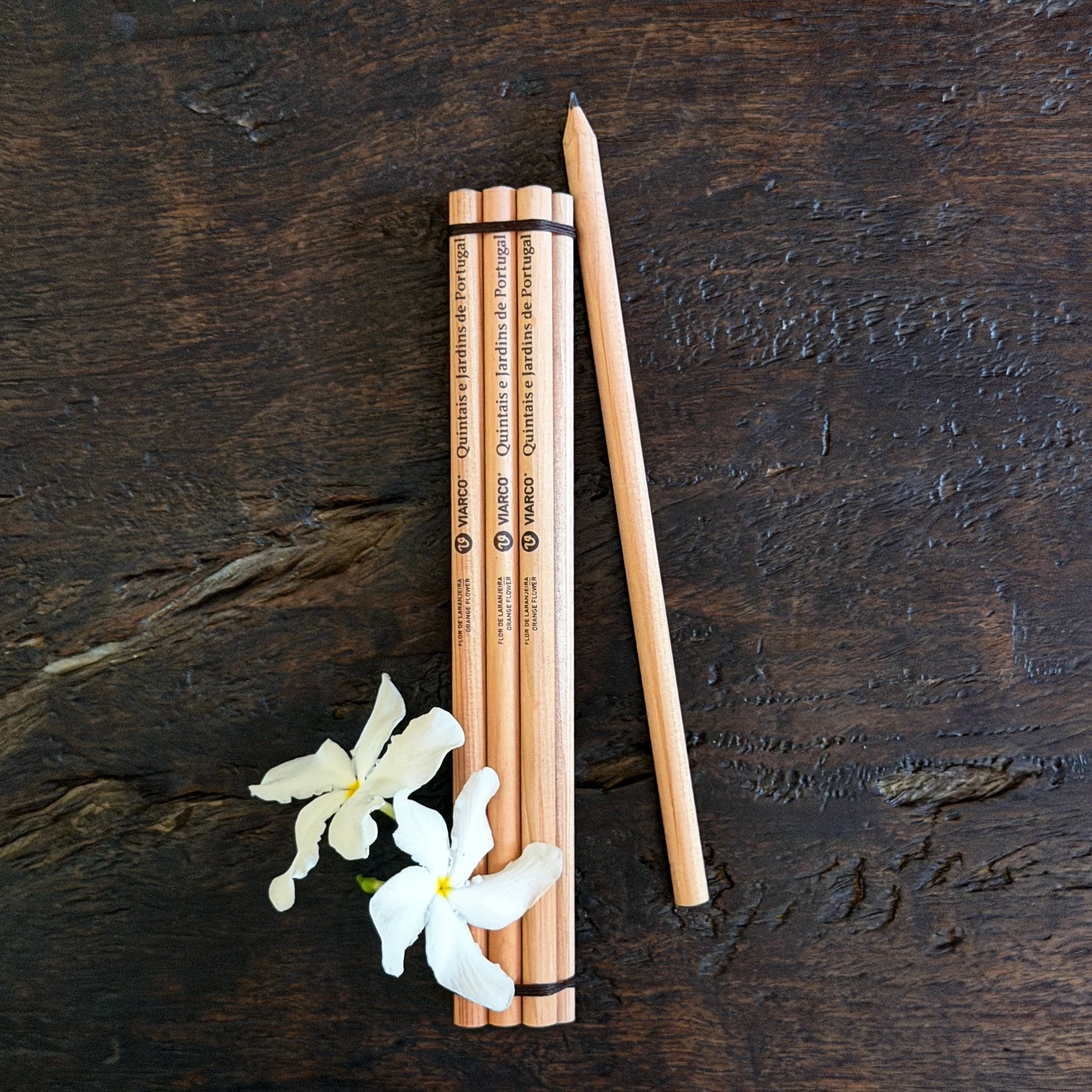 Portuguese Scented Pencils by Viarco - Image 2