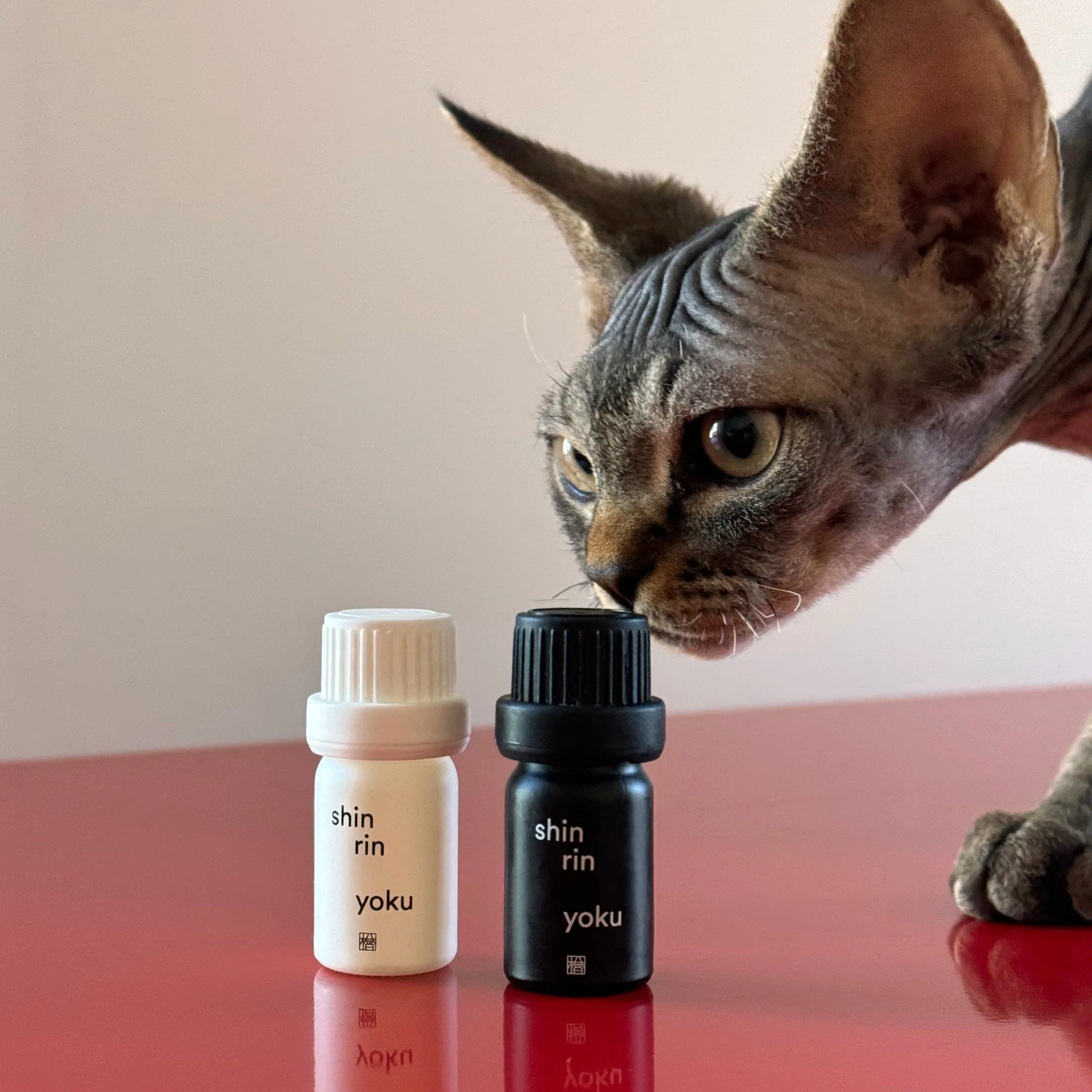 Shin Rin Yoku Essential Oil - Image 3
