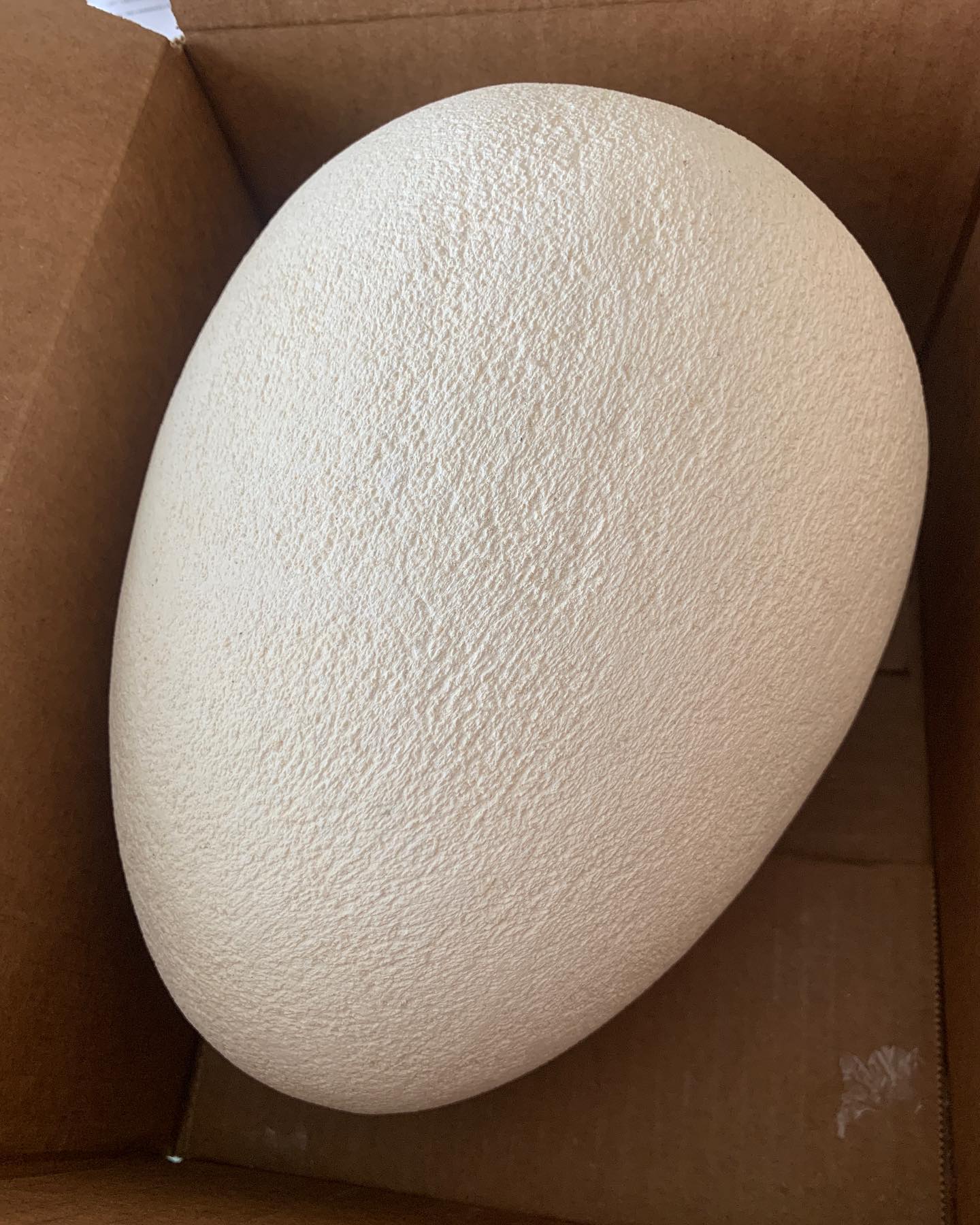 Ōamaru Limestone Egg - Image 9