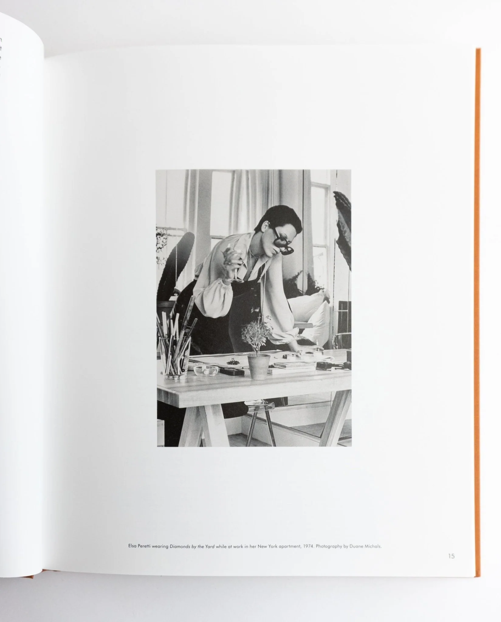 The Italian Interiors of Elsa Peretti - Image 2