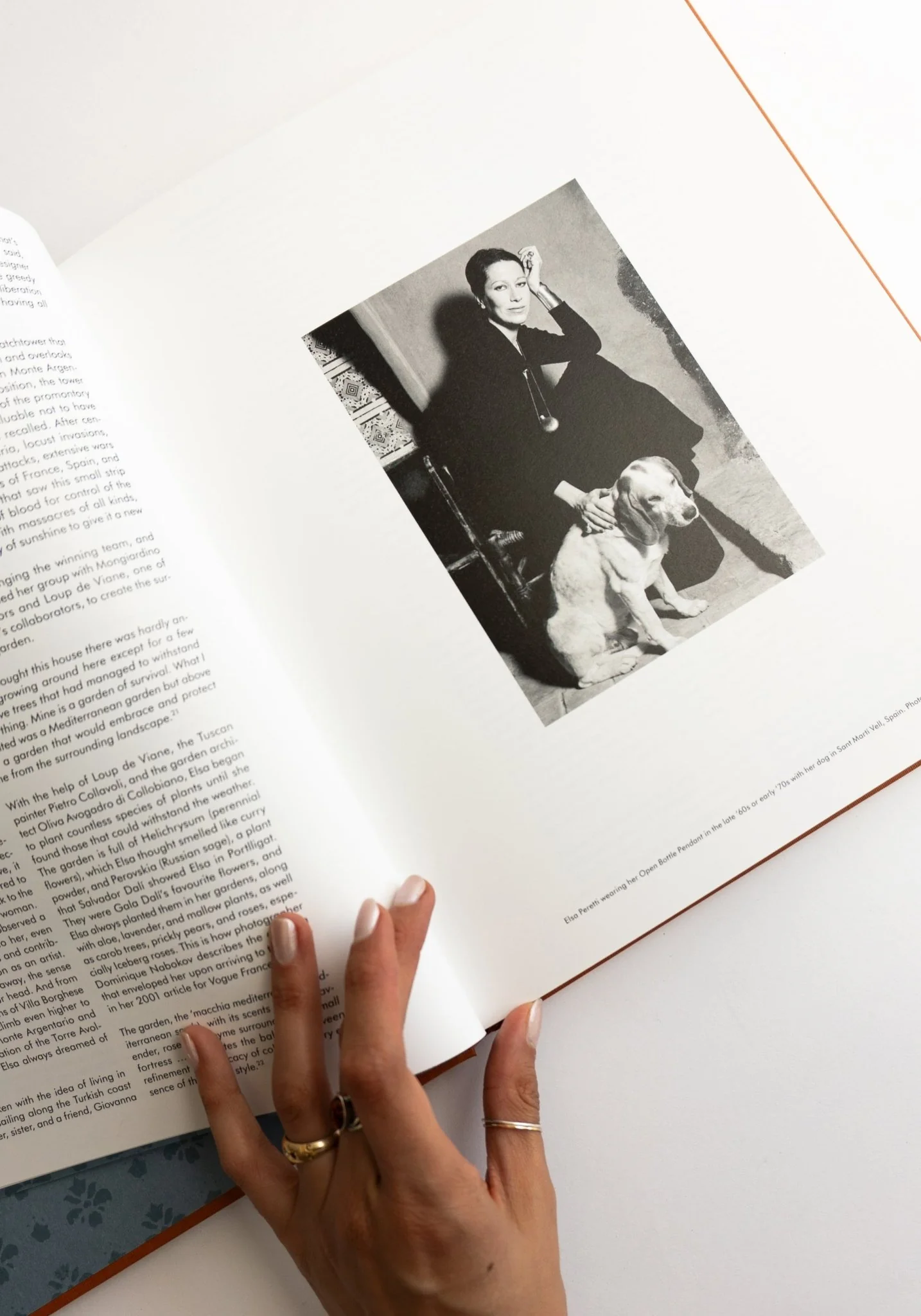 The Italian Interiors of Elsa Peretti - Image 6