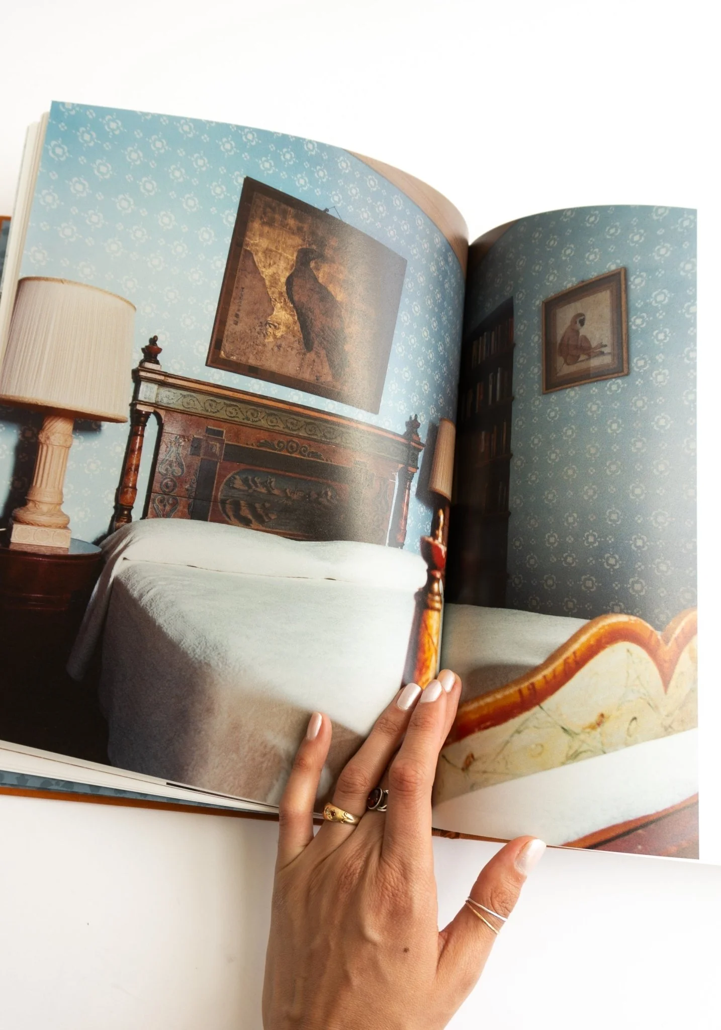 The Italian Interiors of Elsa Peretti - Image 7