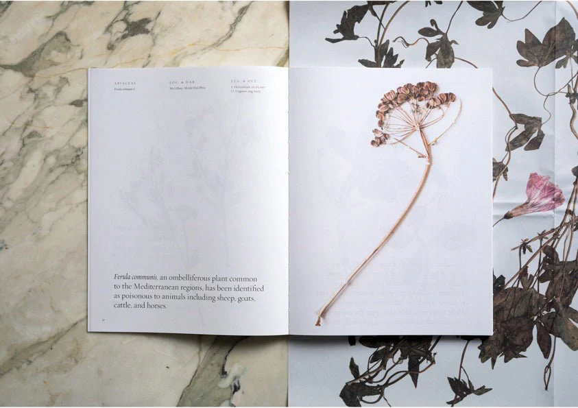 Toxic Garden Book - Image 11