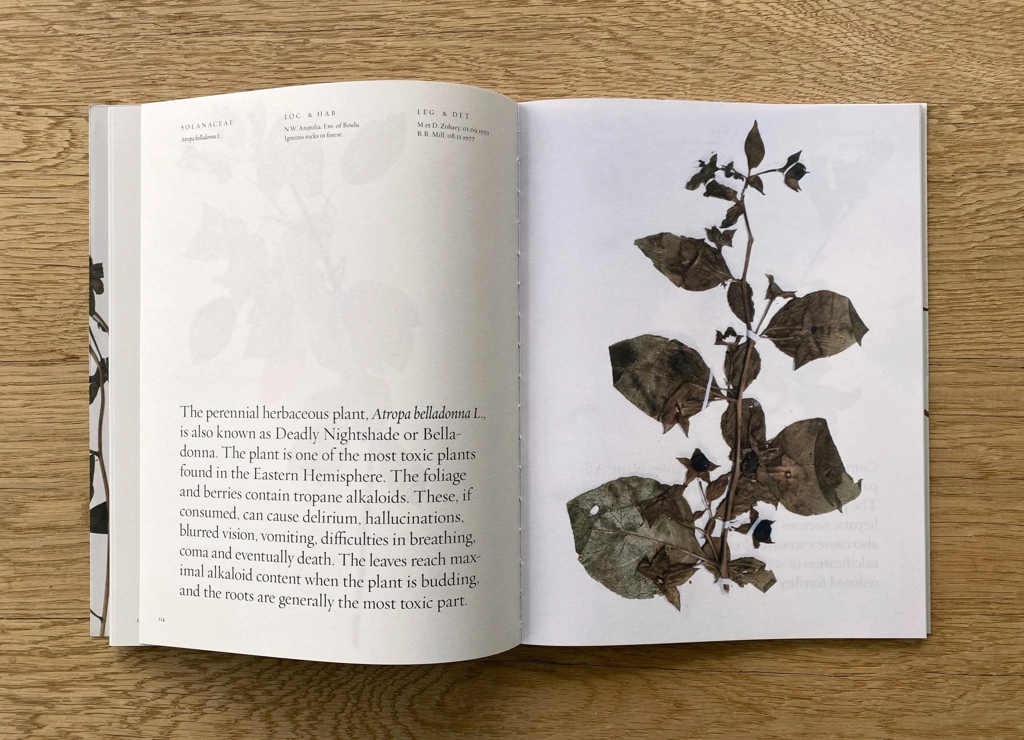 Toxic Garden Book - Image 4