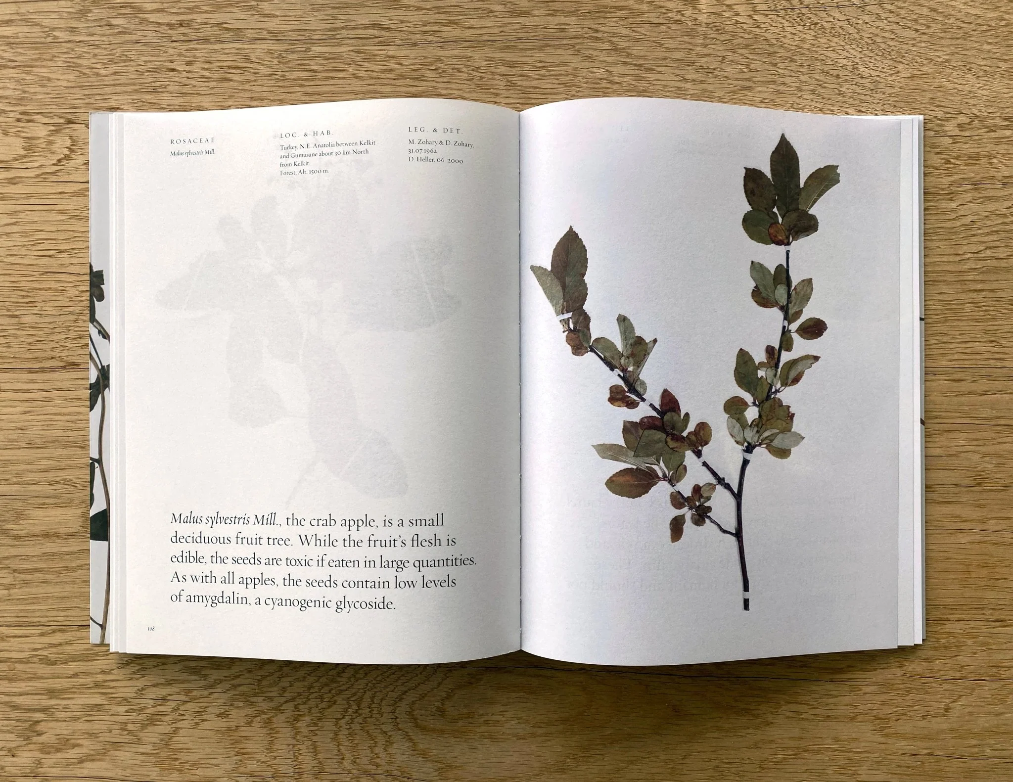 Toxic Garden Book - Image 5
