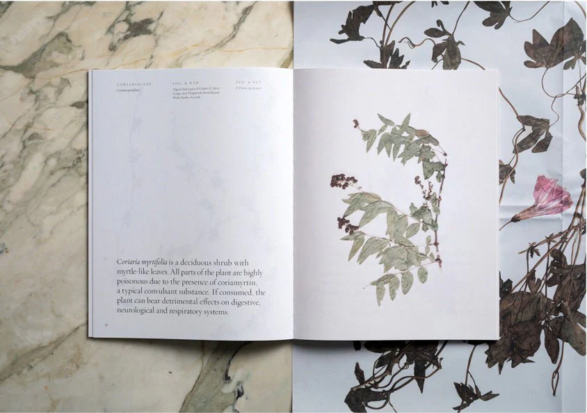 Toxic Garden Book - Image 9